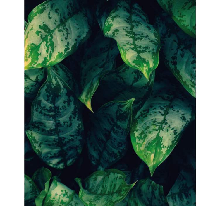 Estor floral Hojas de maranta - TenVinilo