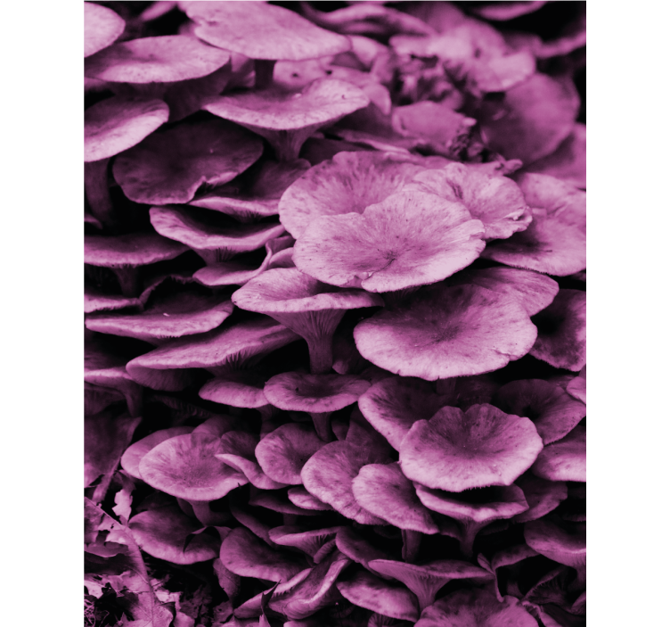 Cortina roller flores capas florales vibrantes - TenVinilo