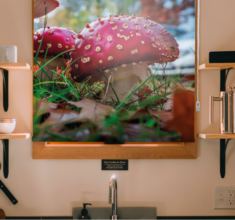 Cortina roller flores hongos rojos vibrantes - TenVinilo