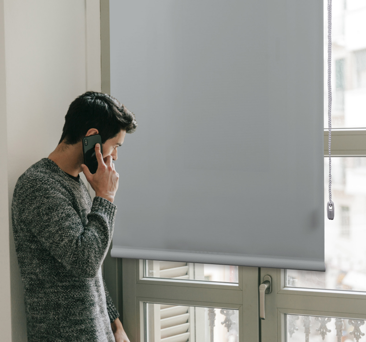 Estor salón Color gris perla - TenVinilo
