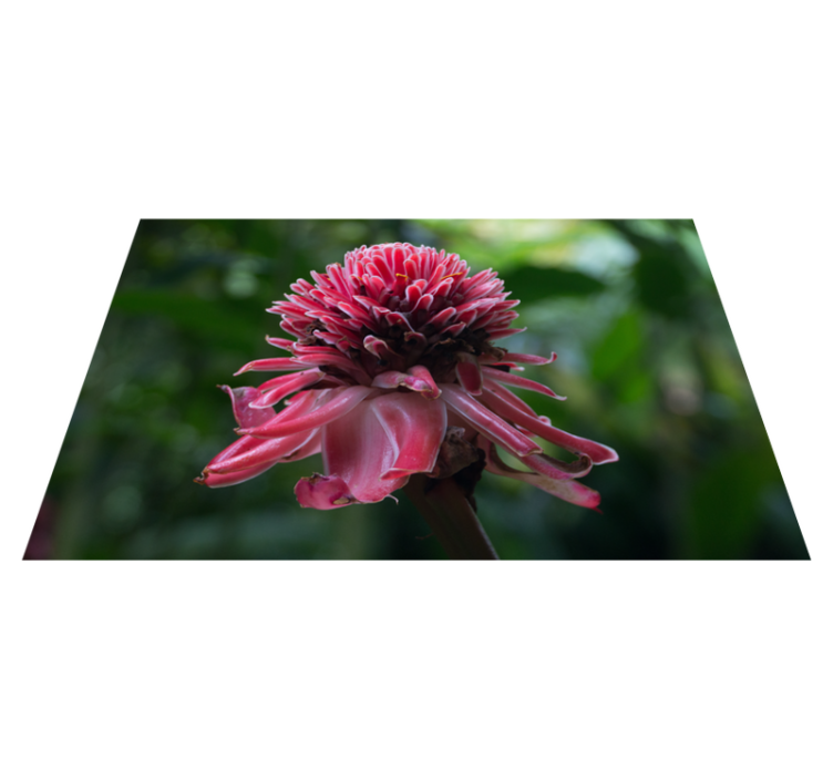 Individual para mesa original arreglo floral tropical - TenVinilo