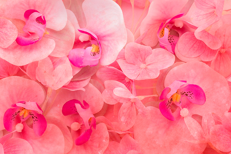 Individual para mesa patrón composición de flores elegantes - TenVinilo