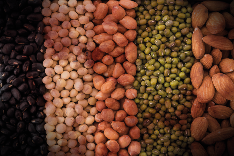 Individual para mesa patrón variedad de frutos secos - TenVinilo