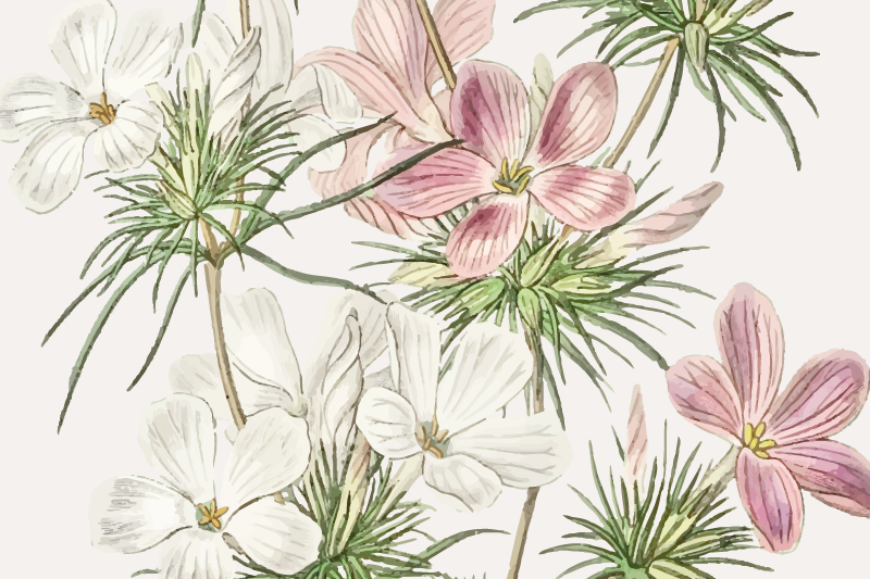 Individual para mesa original arreglo botánico floral - TenVinilo