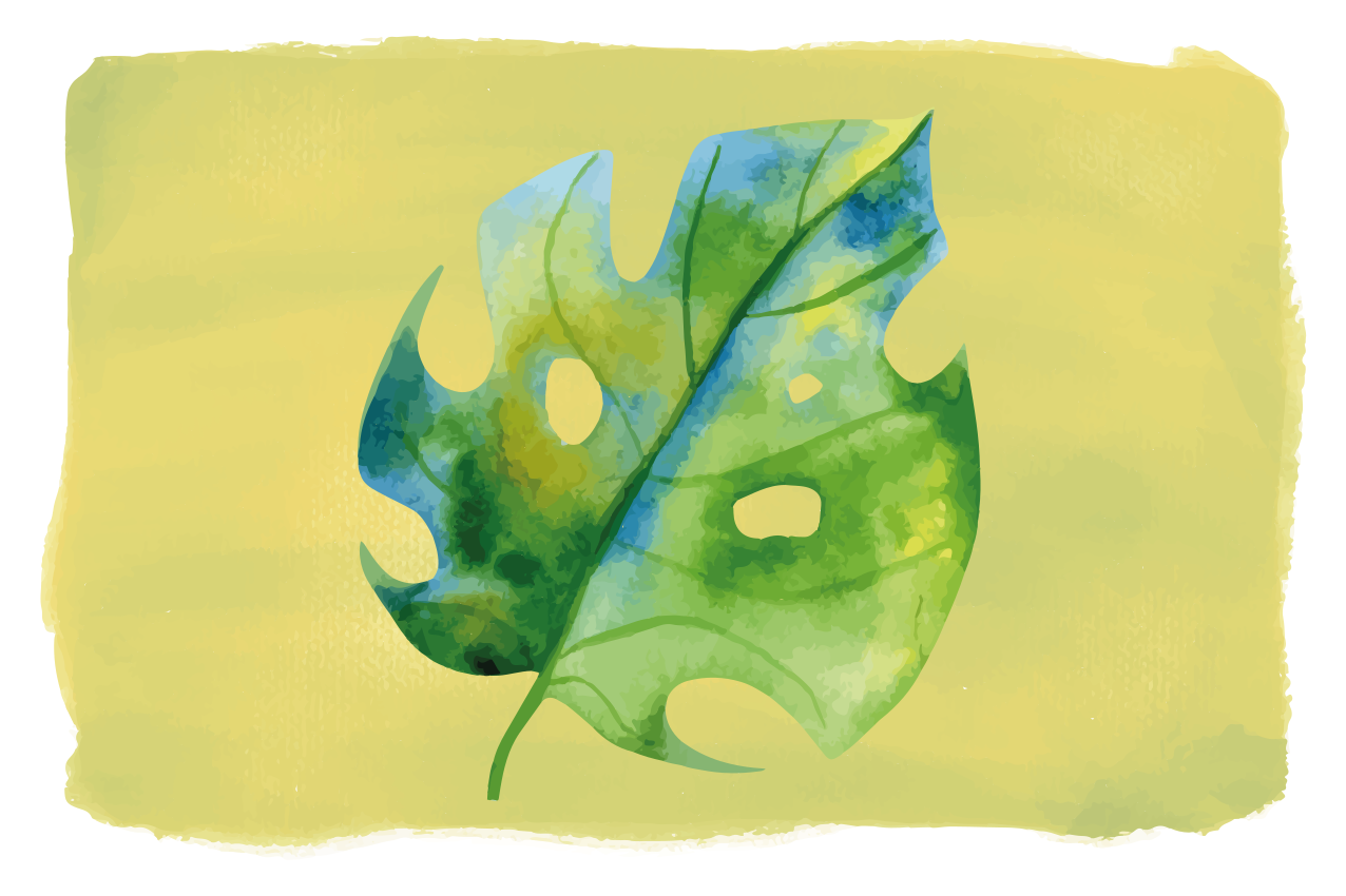 Manteles individuales de vinilo monstera de acuarela - TenVinilo