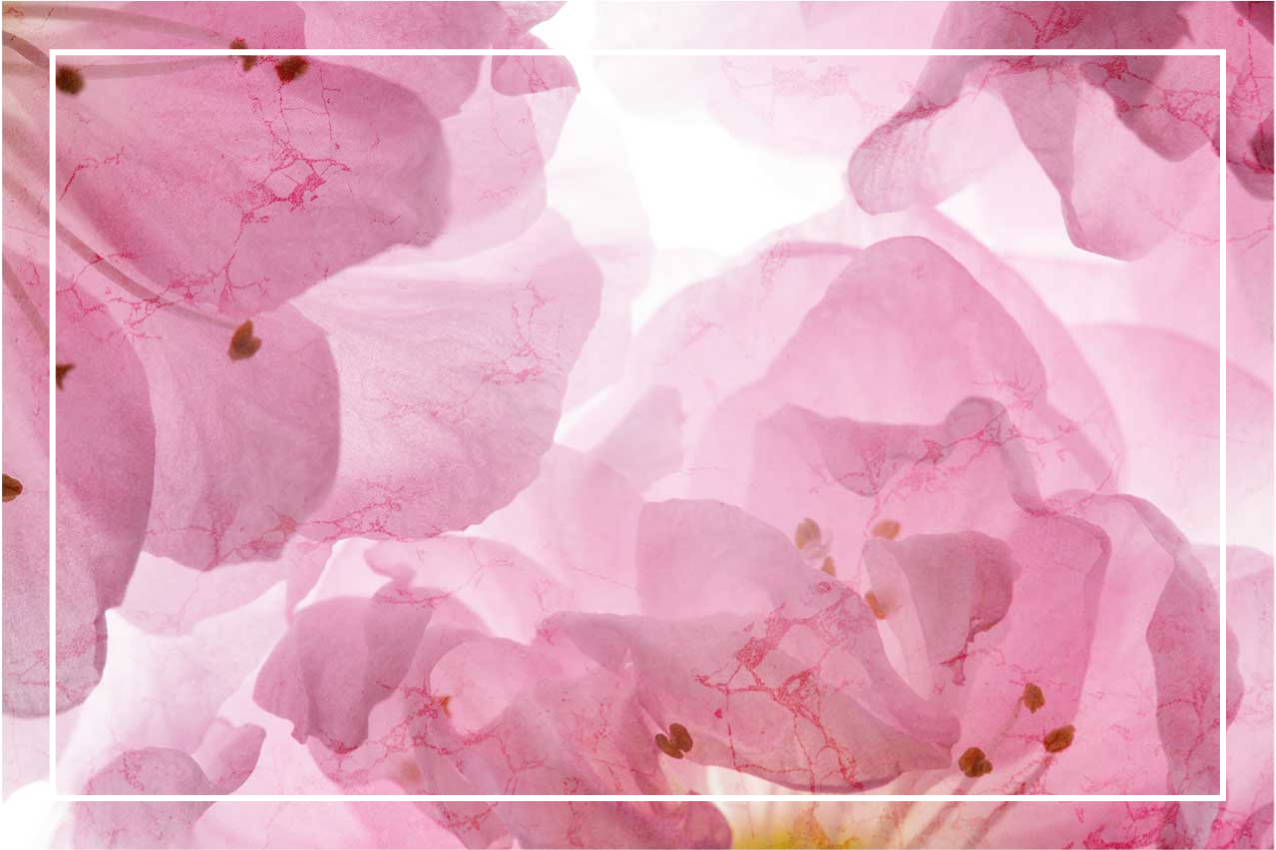 Individual para mesa elegante patrón floral suave - TenVinilo