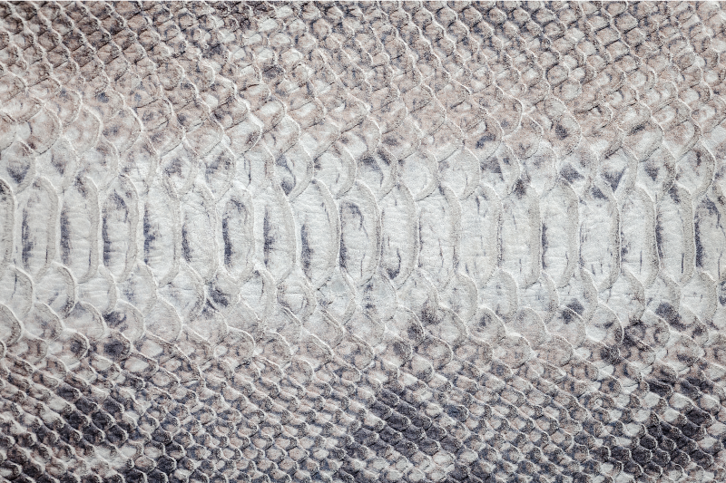 Individual para mesa patrón textura de piel de serpiente - TenVinilo