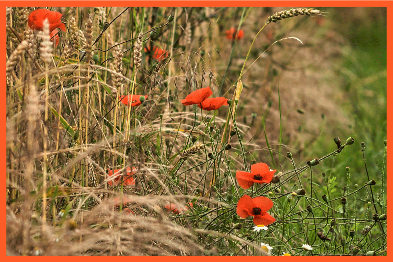 Individual para mesa infantil arreglo de comida divertido - TenVinilo