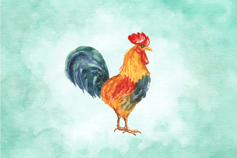 Individual para mesa original ilustración de gallo colorido - TenVinilo