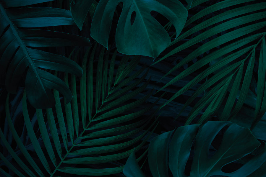 Individual para mesa patrón hoja tropical - TenVinilo