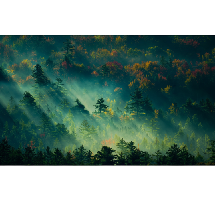 Mural de bosque el bosque melancólico - TenVinilo