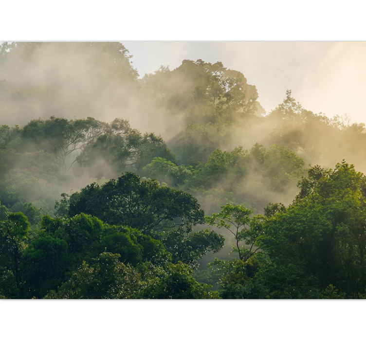 Mural de bosque dosel de selva exuberante - TenVinilo