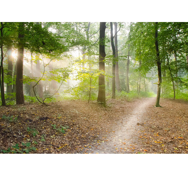 Fotomural paisaje bosque de pinos para salón - TenVinilo