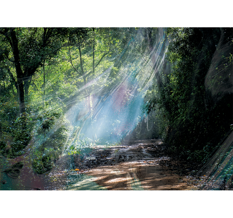 Mural de naturaleza sendero radiante del bosque - TenVinilo