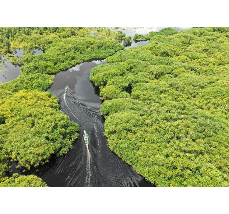Mural de paisajes viaje escénico por el río - TenVinilo