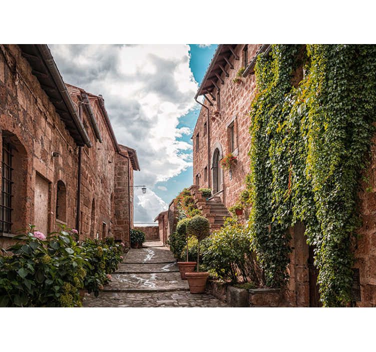 Mural para salón Casa cubierta de hiedra - TenVinilo