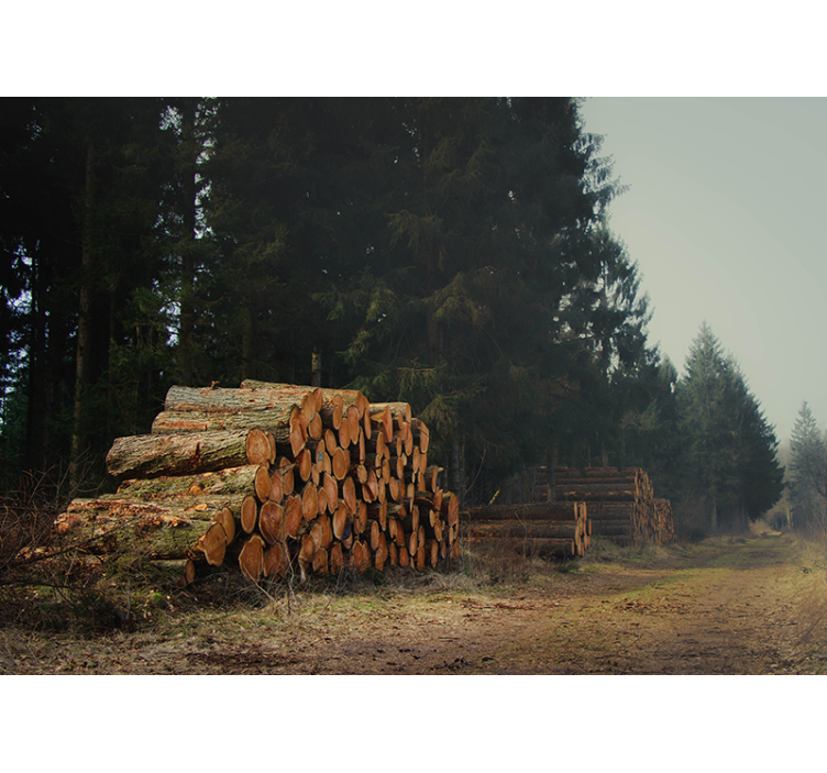 Mural de bosque apilamientos de madera en el bosque - TenVinilo