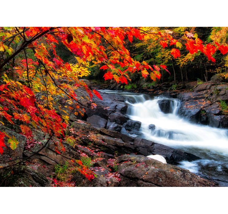 Fotomural de cascada Paisaje de otoño con hojas - TenVinilo