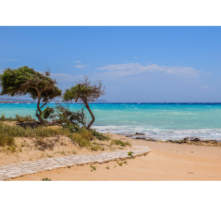 Mural de mar camino de escena serena - TenVinilo