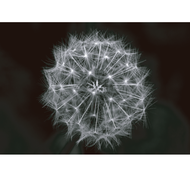 Mural de león explosión de diente de león delicada - TenVinilo