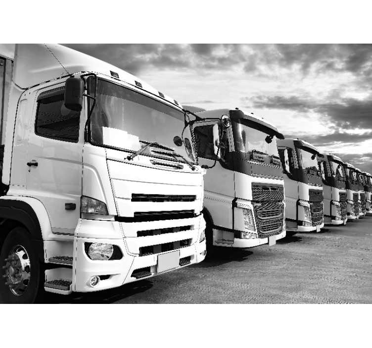 Mural de vehículos selección de camiones - TenVinilo