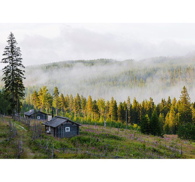 Mural de paisajes bosque cubierto de niebla - TenVinilo