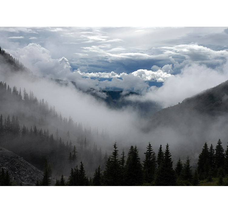 Mural de paisajes paisaje de bosque brumoso - TenVinilo