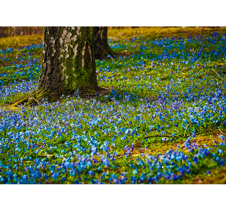 Mural de flores escena de pradera de campanillas - TenVinilo