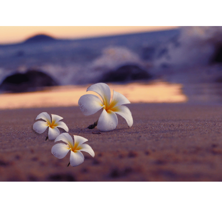 Mural amapolas trio de flores tropicales - TenVinilo