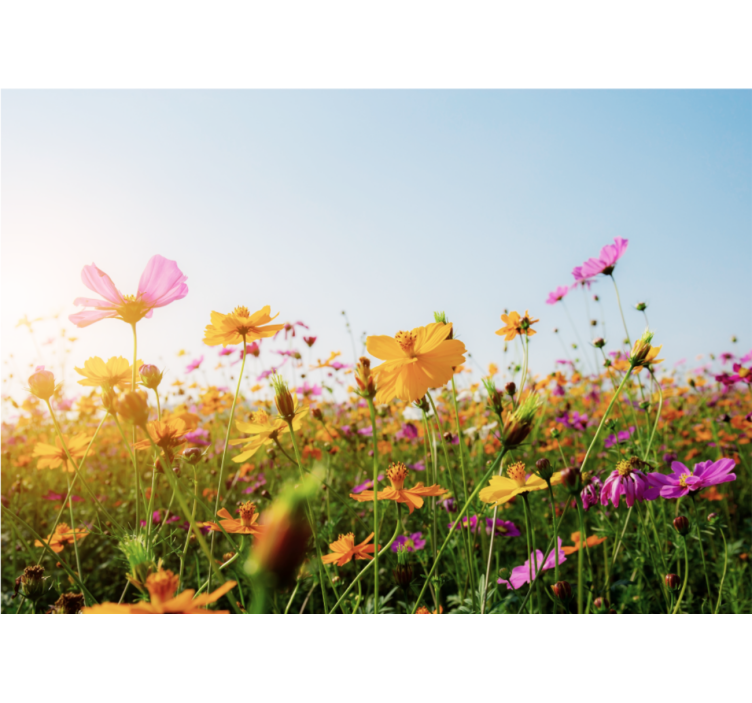 Mural de flores flora colorida en floración - TenVinilo