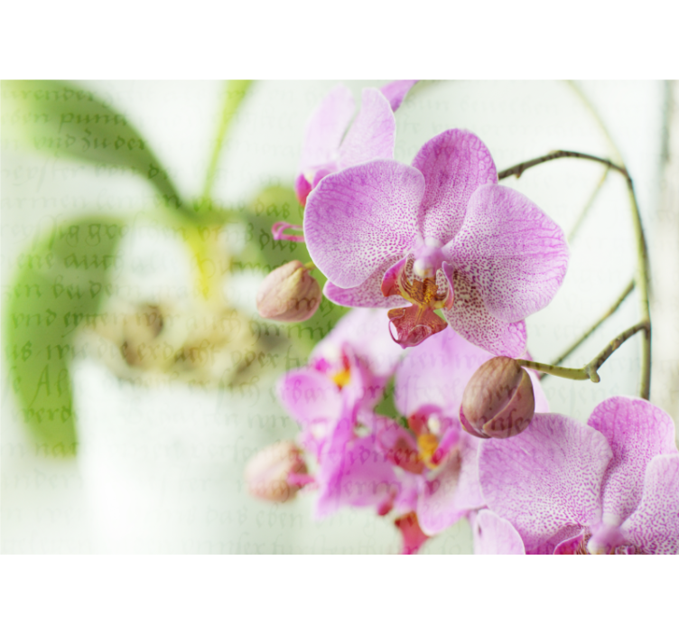 Fotomural decorativo Orquídea con texto - TenVinilo