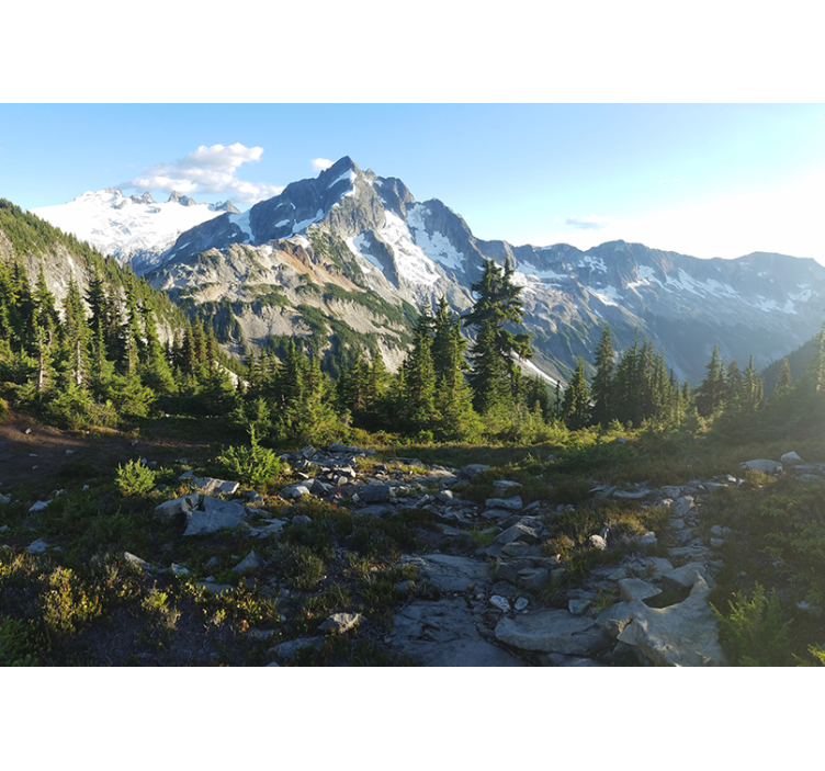 Mural de paisajes vista del bosque montañoso - TenVinilo