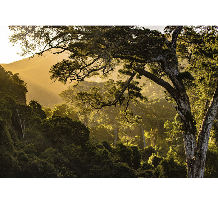 Mural de naturaleza escenario de bosque verde - TenVinilo