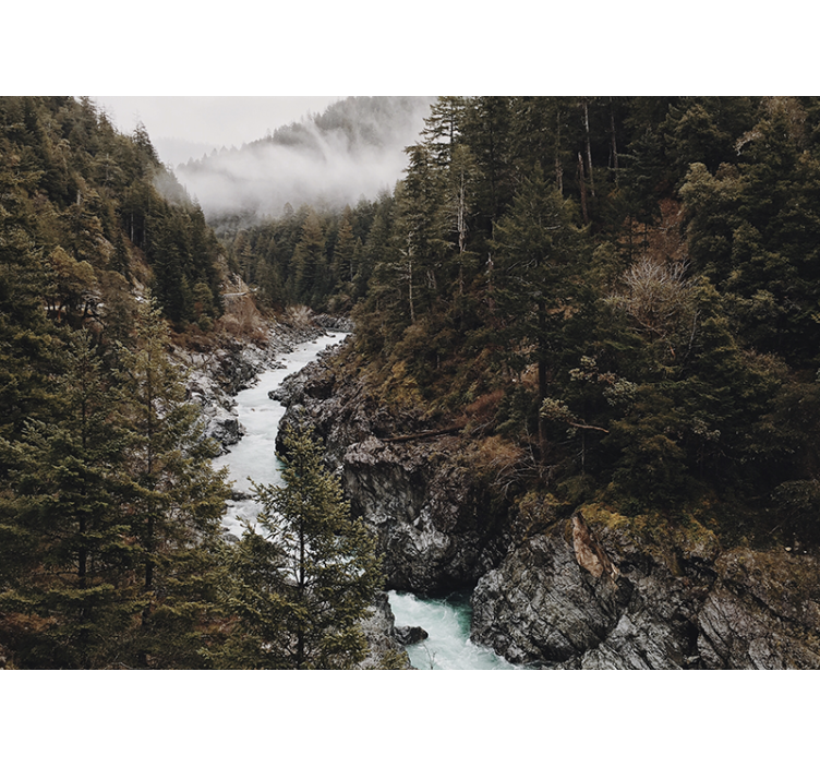 Mural de naturaleza paisaje del río majestuoso - TenVinilo