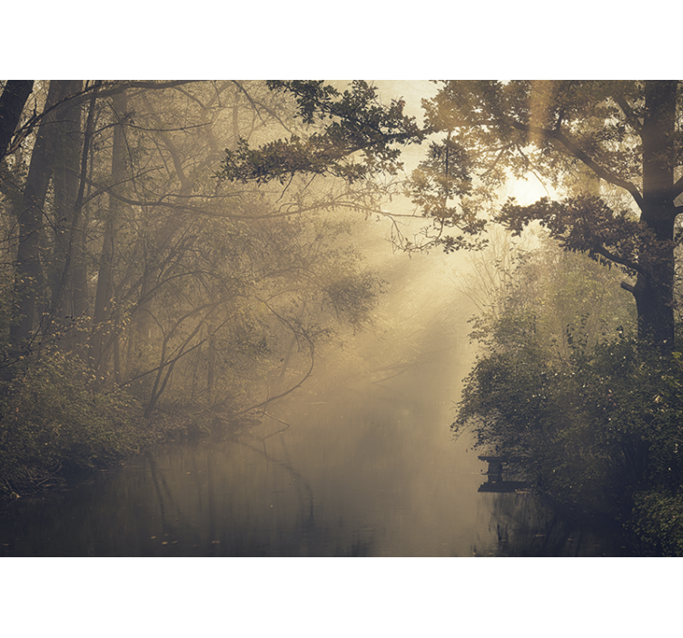 Mural de naturaleza paisaje de bosque luminoso - TenVinilo