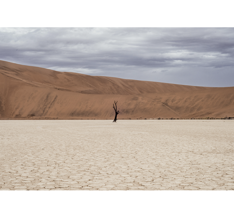 Mural de montañas paisaje desértico - TenVinilo