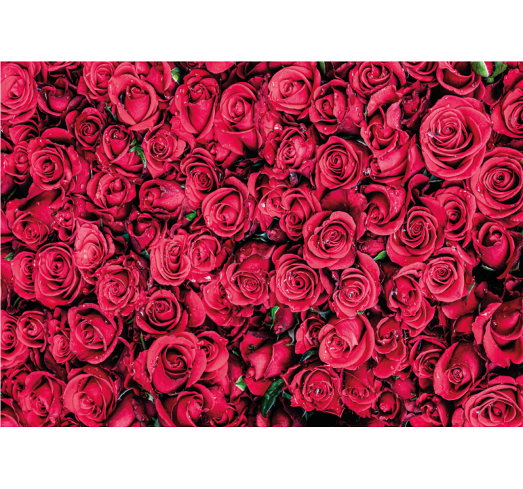 Mural de rosas flores de rosa vibrantes - TenVinilo