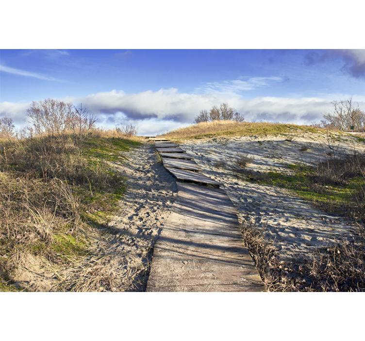 Mural de paisajes camino de madera - TenVinilo