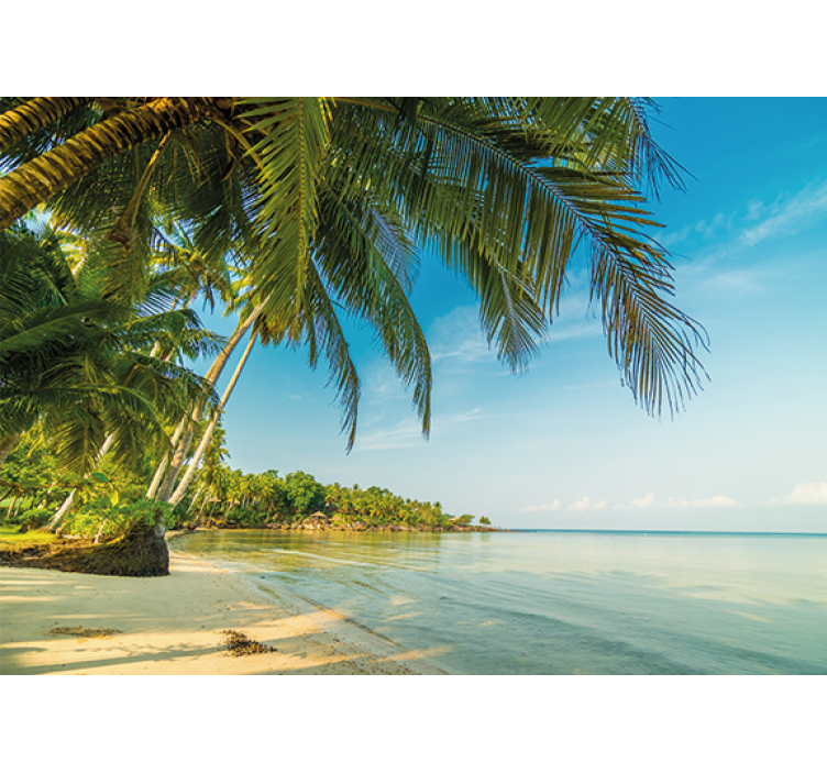 Mural de naturaleza escena de playa tranquila - TenVinilo