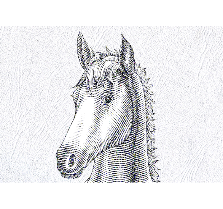 Mural de animales retrato elegante de caballo - TenVinilo