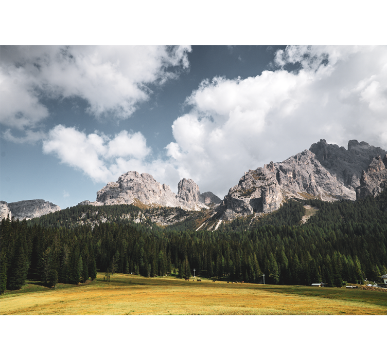 Fotomural de montañas Campo de hierba - TenVinilo