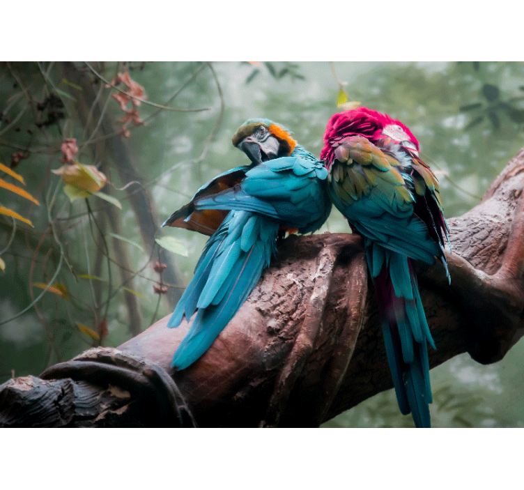 Mural de animales lazos de loros coloridos - TenVinilo
