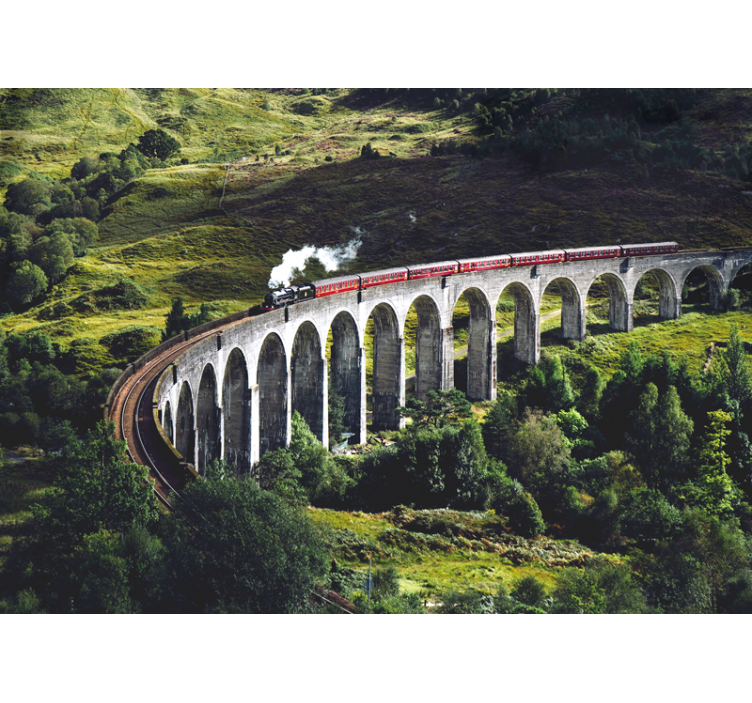 Mural ciudad puente ferroviario icónico - TenVinilo