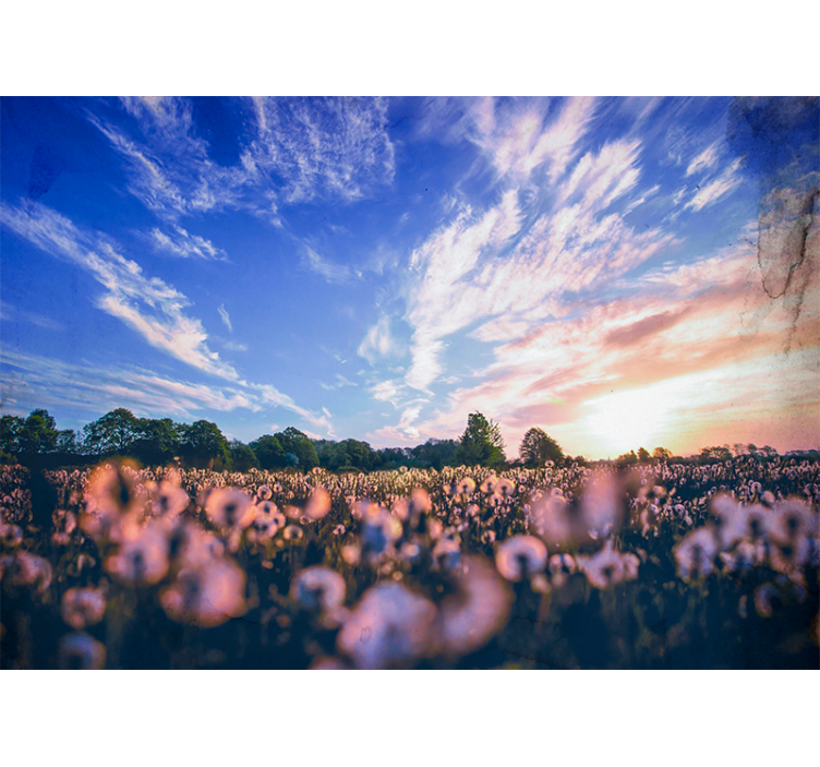 Mural de flores campo de diente de león sereno - TenVinilo