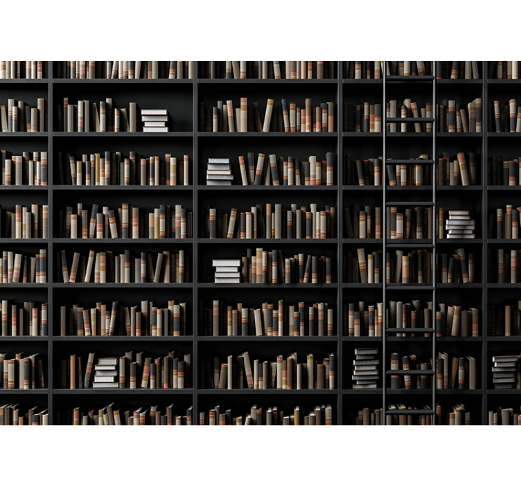 Mural efecto piedra colección de libros biblioteca - TenVinilo