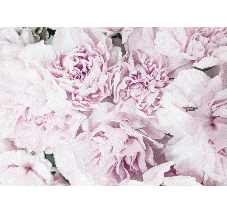 Mural de flores en suaves tonos rosados - TenVinilo