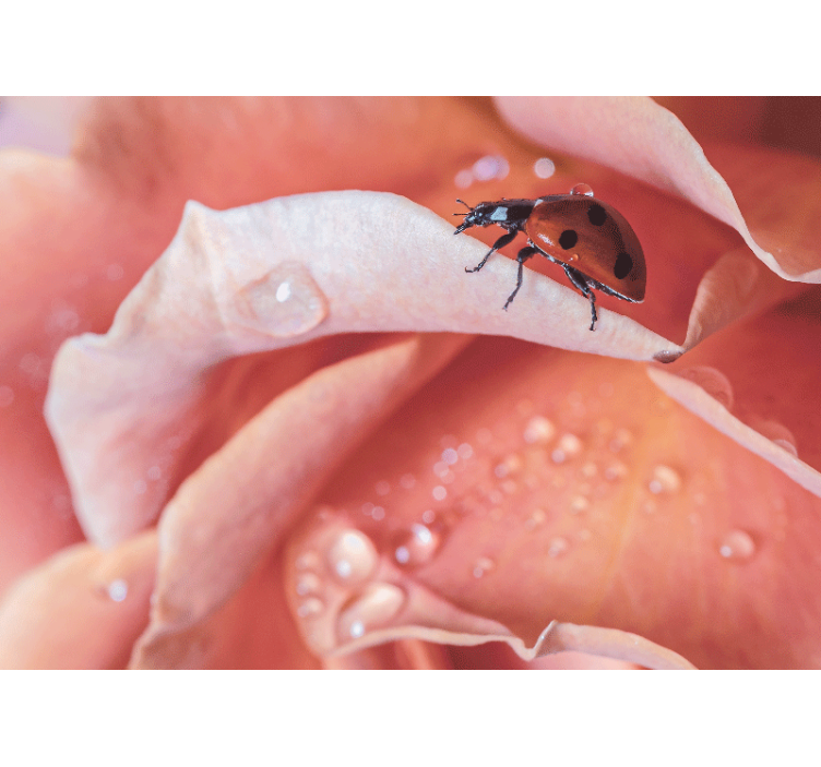 Fotomural animale Elegante estilo mariquita flor rosa - TenVinilo