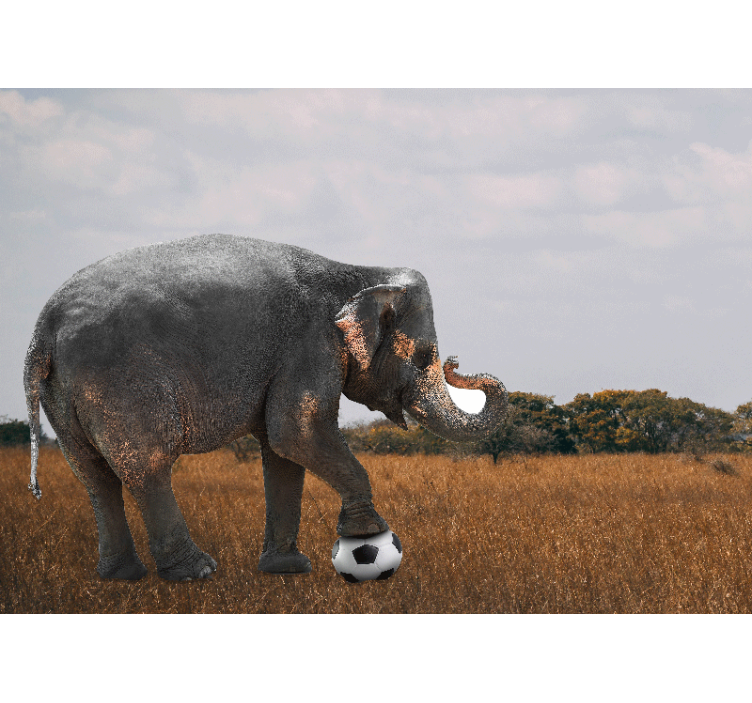 Mural de animales elefante jugando al fútbol - TenVinilo