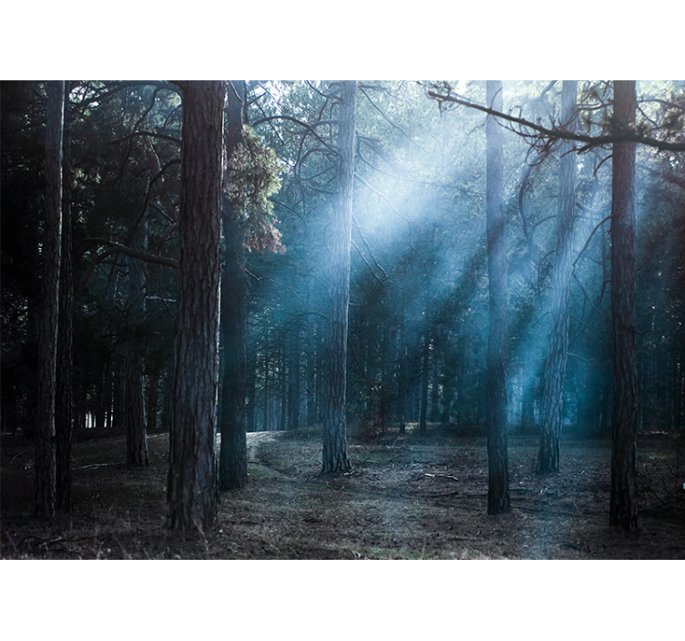 Mural de bosque camino brumoso y brumoso - TenVinilo