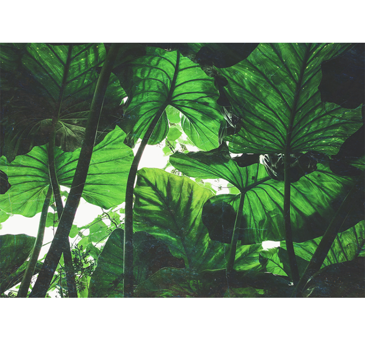 Mural de naturaleza dosel de hojas exuberantes - TenVinilo